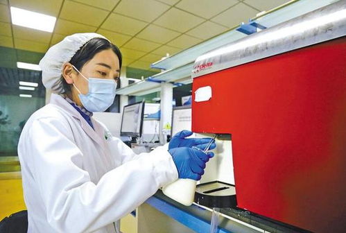 拉薩市 服務保障做到位 歡歡喜喜過新年